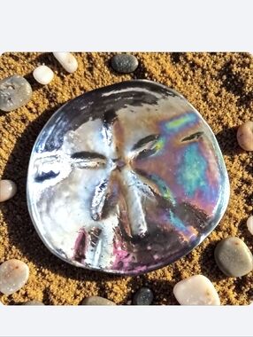 Art Glass Sand Dollar Iridescent Paperweight Vintage Coastal Beach House Ocean